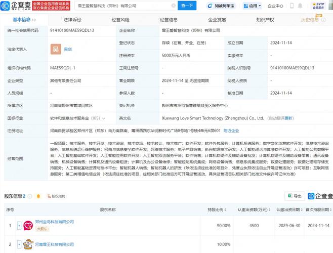 网络技术新力量 吴剑创立5000万元公司，深耕网络技术服务